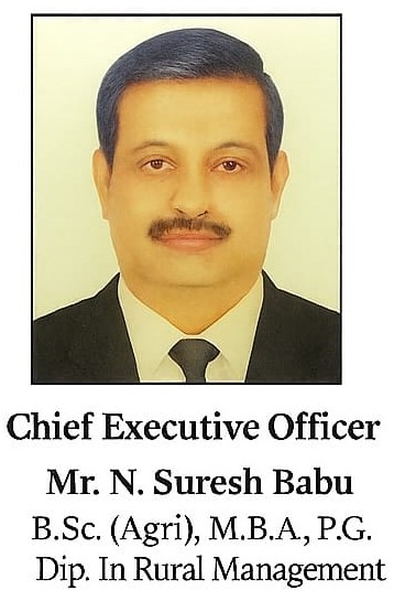 Green Nature Image 1