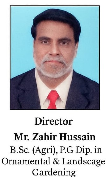 Green Nature Image 2