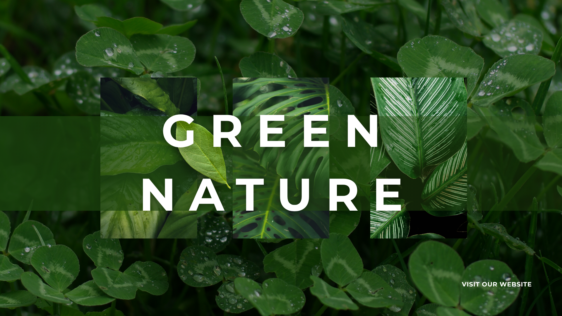 Green Nature Landscaping Work